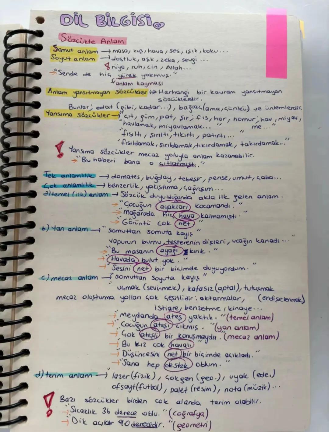 # SES BİLGİSİ
| | DÜZ | YUVARLAK | | |
| :---- | :----- | :------- | :---- | :------ |
| | Geniş | Dar | Gen