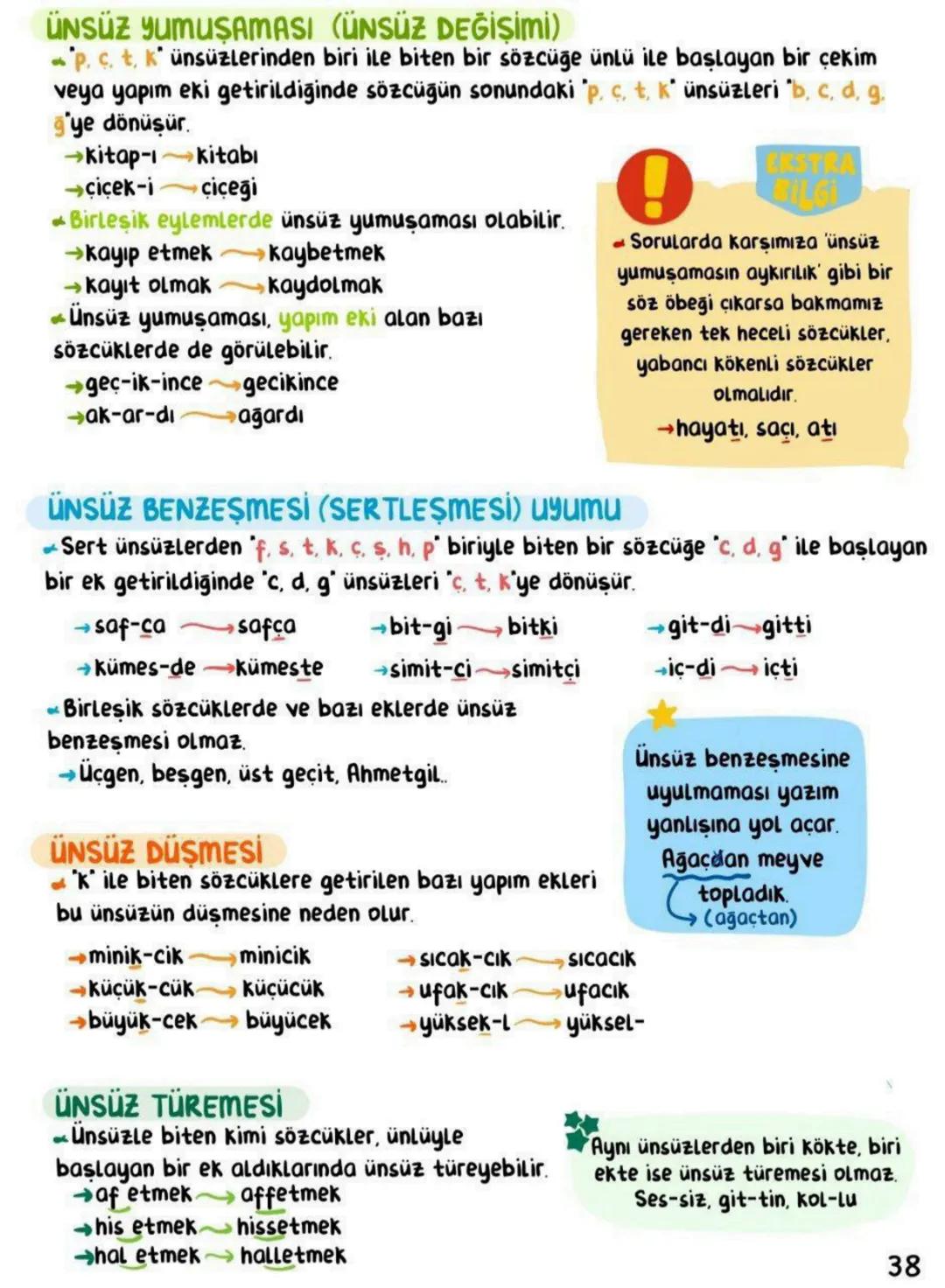 # SES BİLGİSİ
| | DÜZ | YUVARLAK | | |
| :---- | :----- | :------- | :---- | :------ |
| | Geniş | Dar | Gen