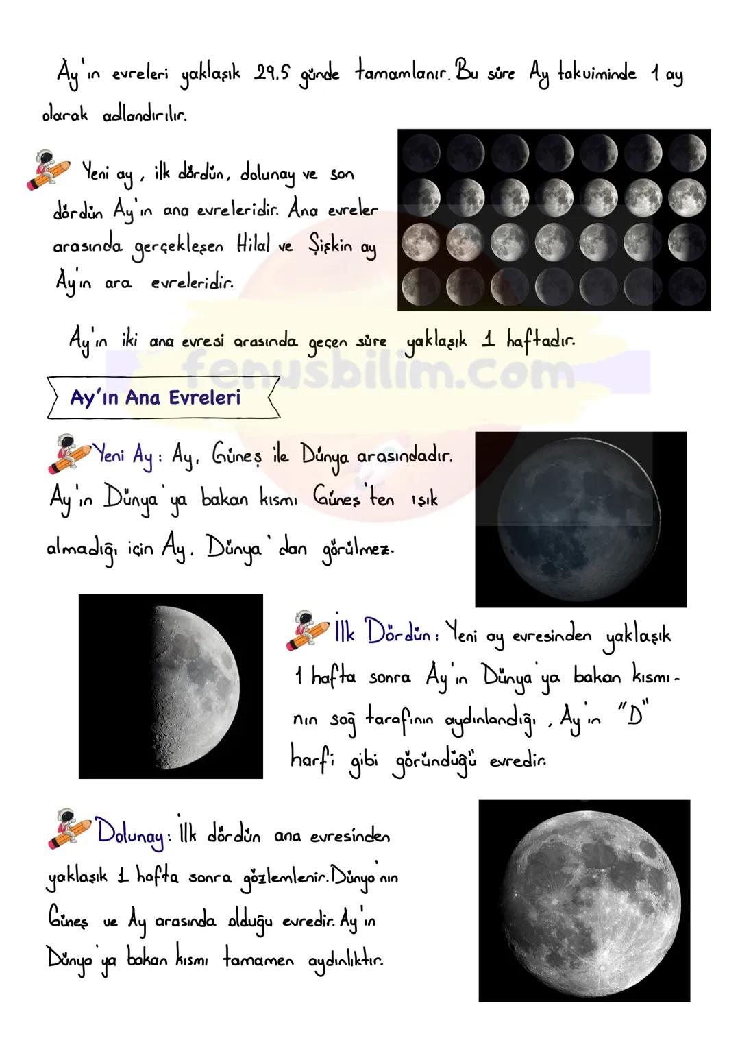 FENUS
BILIM
5. SINIF 1.ÜNİTE
ΑΥΊΝ EVRELERİ
DERS NOTU
fenusbilim
✔ fenusbilim.com
▷ fenusbilim/youtube
Teliflidir, öğrenciler ile paylaş