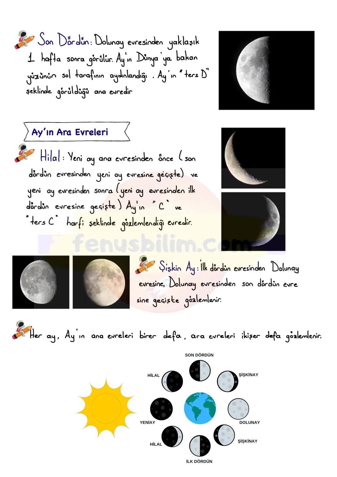 FENUS
BILIM
5. SINIF 1.ÜNİTE
ΑΥΊΝ EVRELERİ
DERS NOTU
fenusbilim
✔ fenusbilim.com
▷ fenusbilim/youtube
Teliflidir, öğrenciler ile paylaş