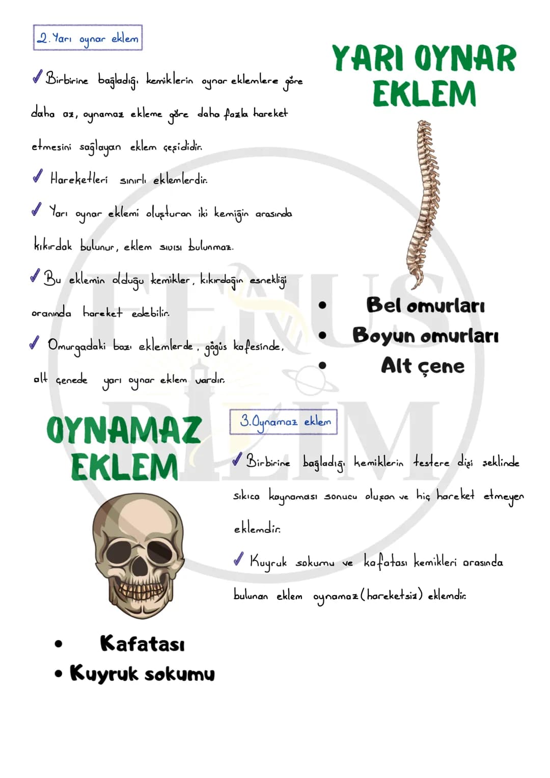 5 sınıf destek ve hareket sistemi – 6. sayfa