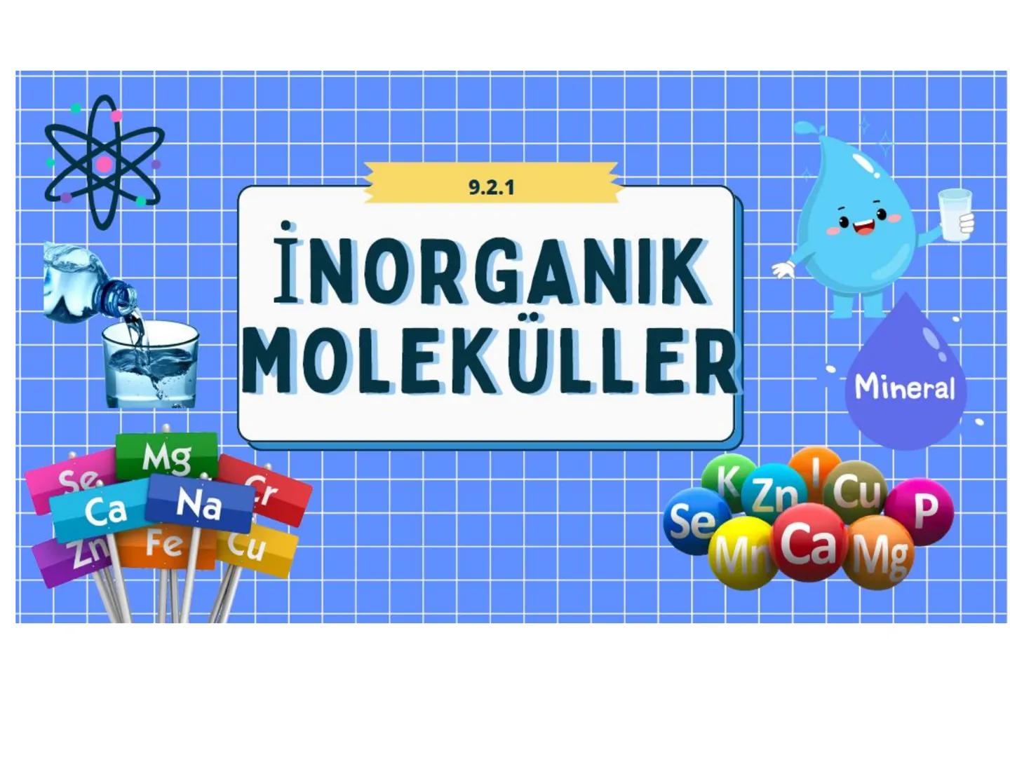 9.2.1
İNORGANIK
MOLEKULLER
Se
Mg
Ca Na
Zn Fe cu
Se
Mineral
KZn Cu p
Mr Ca Mg # CANLILARIN YAPISI OLUŞTURAN TEMEL BİLEŞENLER
Organik molekül