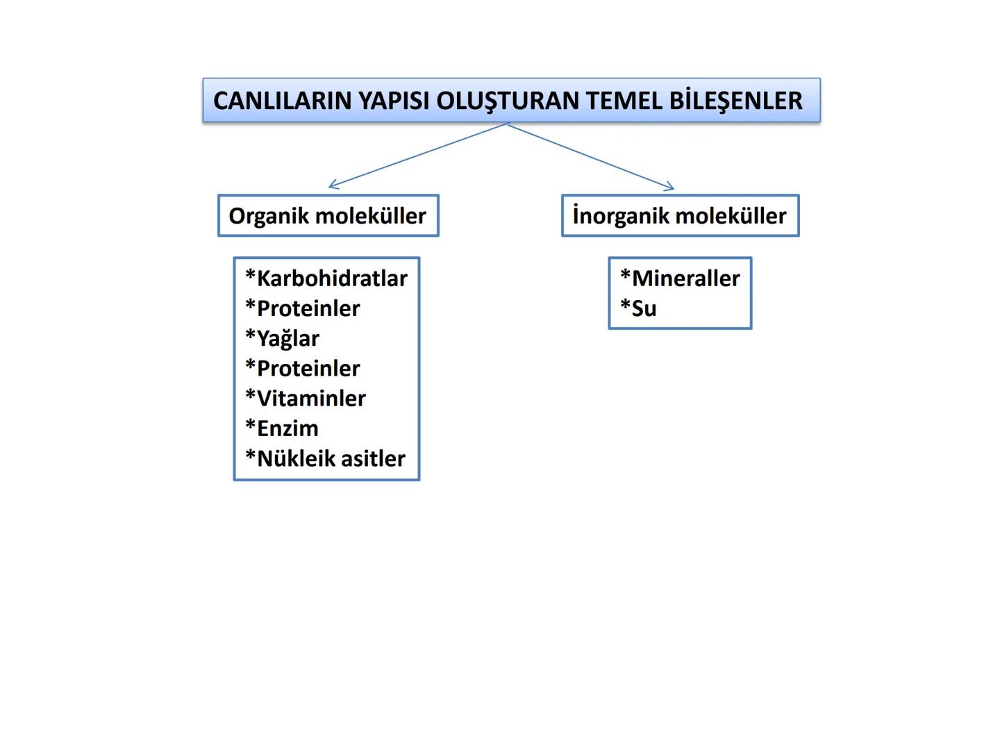 9.2.1
İNORGANIK
MOLEKULLER
Se
Mg
Ca Na
Zn Fe cu
Se
Mineral
KZn Cu p
Mr Ca Mg # CANLILARIN YAPISI OLUŞTURAN TEMEL BİLEŞENLER
Organik molekül