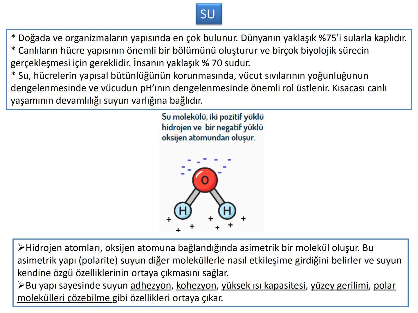 9.2.1
İNORGANIK
MOLEKULLER
Se
Mg
Ca Na
Zn Fe cu
Se
Mineral
KZn Cu p
Mr Ca Mg # CANLILARIN YAPISI OLUŞTURAN TEMEL BİLEŞENLER
Organik molekül