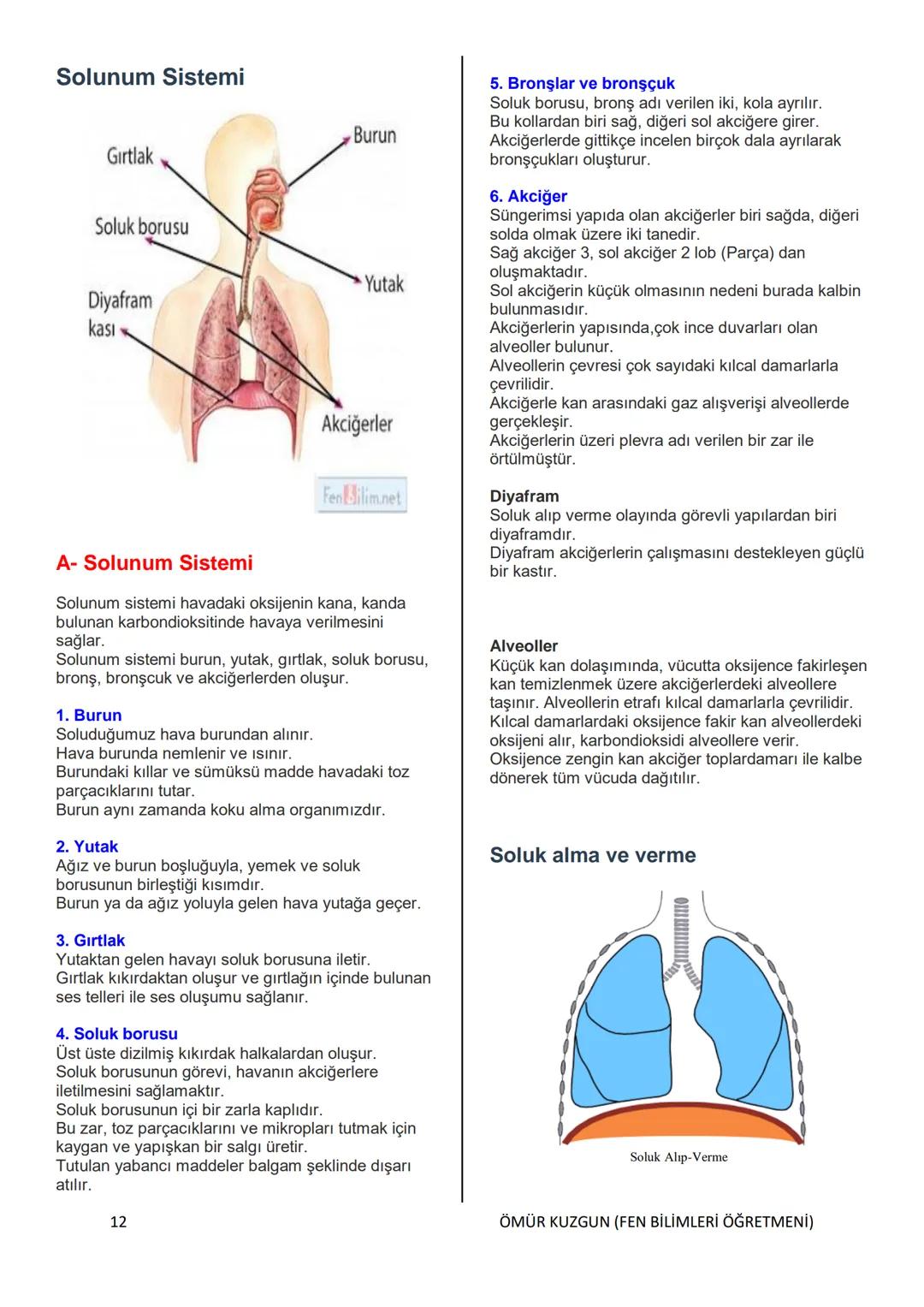 TC
MELİKGAZİ KAYMAKAMLIĞI
BELSİN MELİKGAZİ BELEDİYESİ İMAM
HATİP ORTAOKULU
6. SINIF
FEN BİLİMLERİ DERSİ
KONU ANLATIMLI KİTAP
HAZIRLAYAN
ÖM