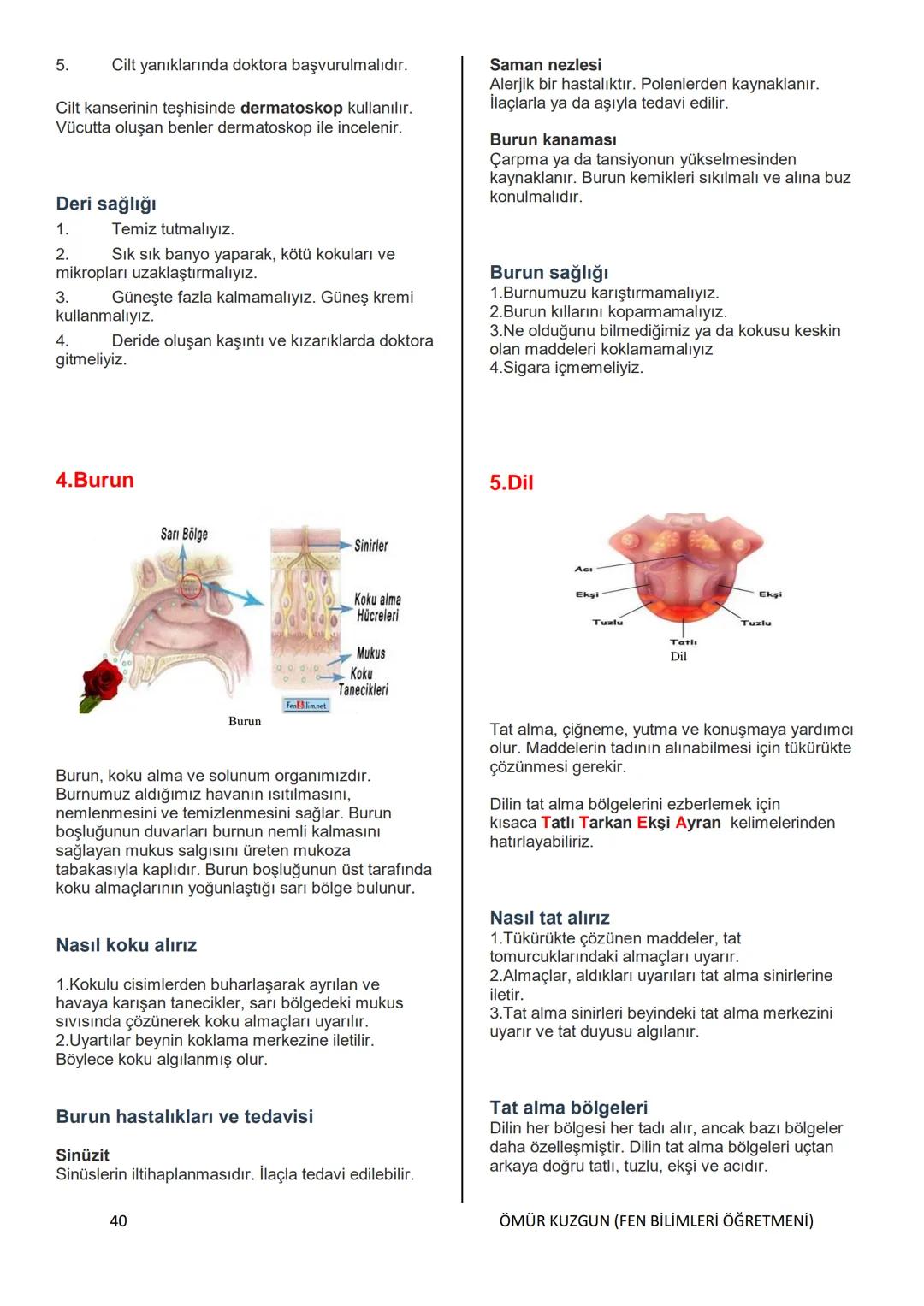 TC
MELİKGAZİ KAYMAKAMLIĞI
BELSİN MELİKGAZİ BELEDİYESİ İMAM
HATİP ORTAOKULU
6. SINIF
FEN BİLİMLERİ DERSİ
KONU ANLATIMLI KİTAP
HAZIRLAYAN
ÖM