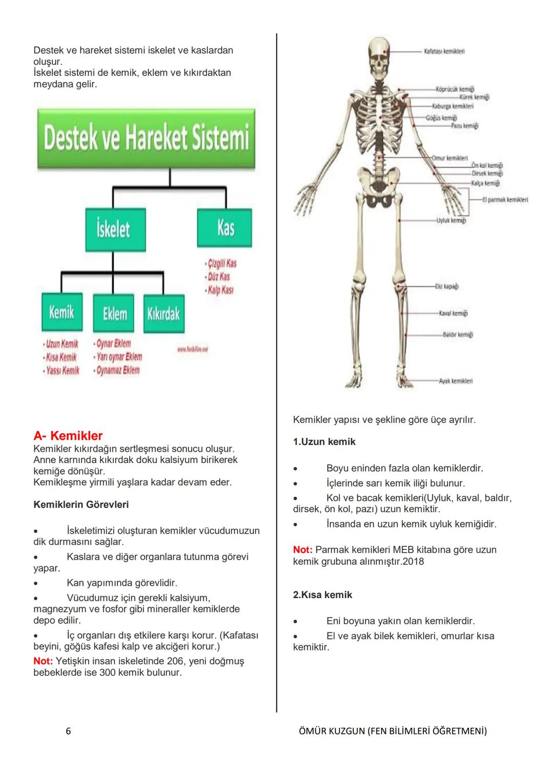 TC
MELİKGAZİ KAYMAKAMLIĞI
BELSİN MELİKGAZİ BELEDİYESİ İMAM
HATİP ORTAOKULU
6. SINIF
FEN BİLİMLERİ DERSİ
KONU ANLATIMLI KİTAP
HAZIRLAYAN
ÖM