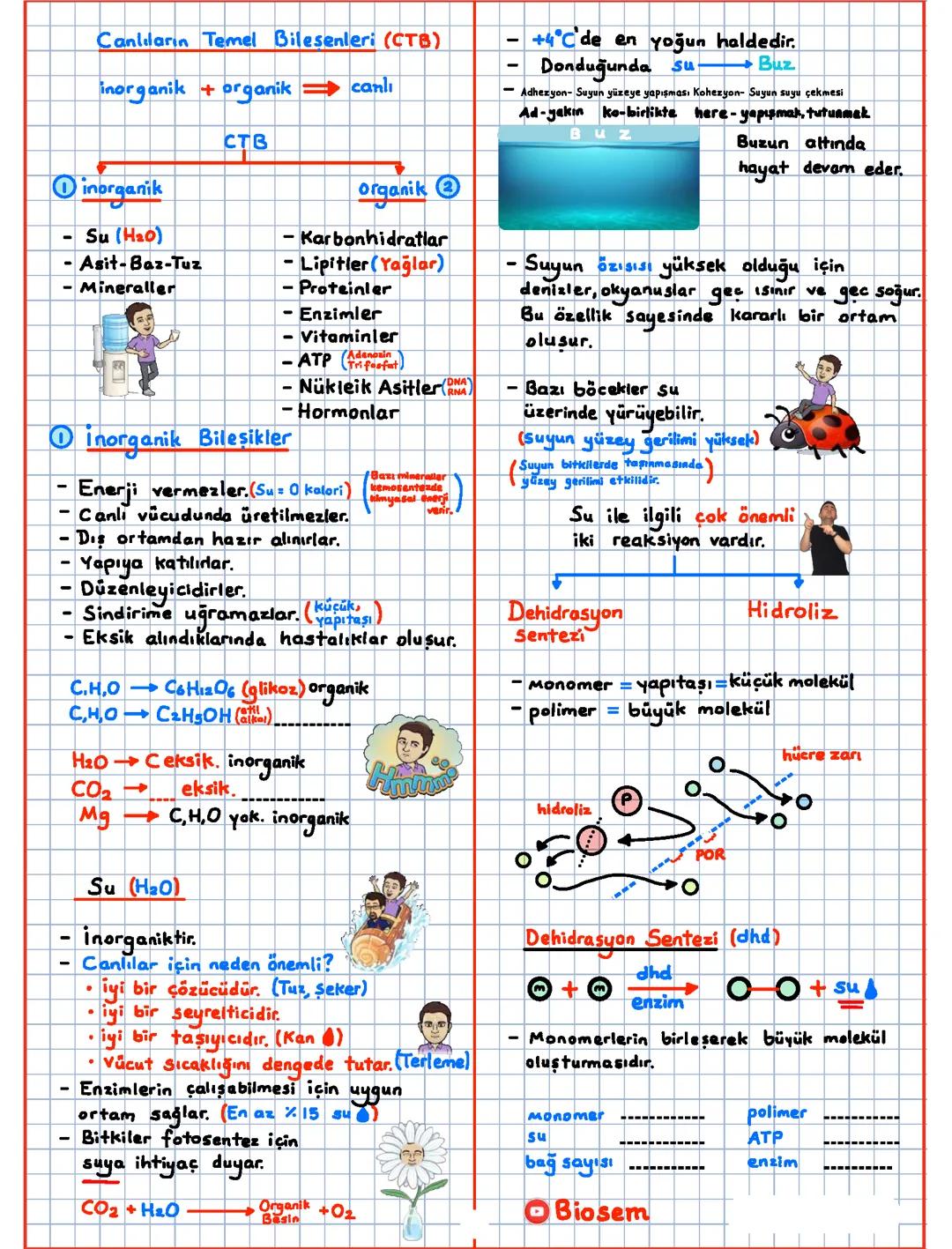 9. Sınıf Biyoloji 2. Dönem 1. Yazılı Öncesi Genel Tekrar Ders Notları