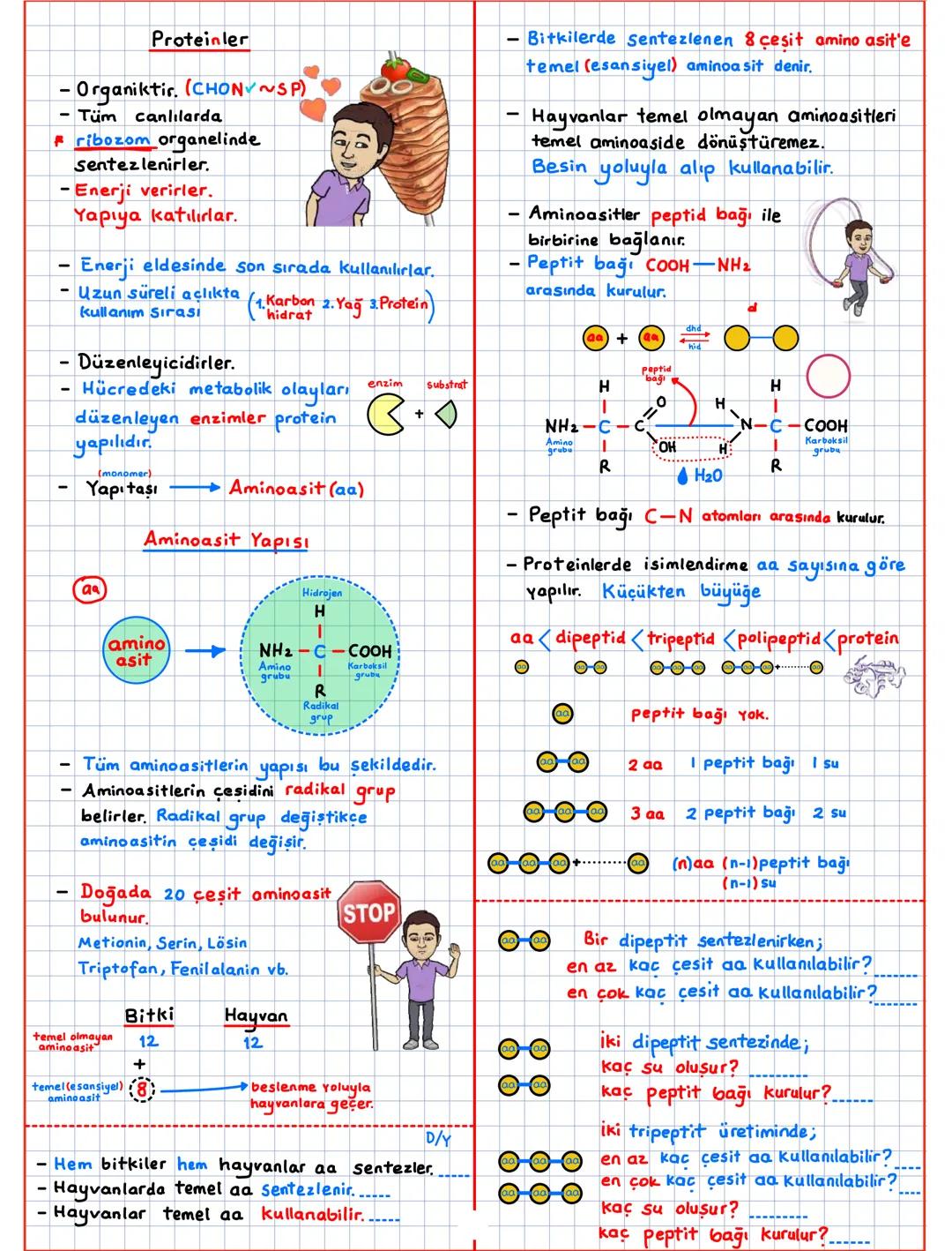 --- OCR Start ---
Canlıların Temel Bilesenleri (CTB)
inorganik + organik
inorganik
Su (H20)
Asit-Baz-Tuz
Mineraller
CTB
canlı
organik 2
Karb