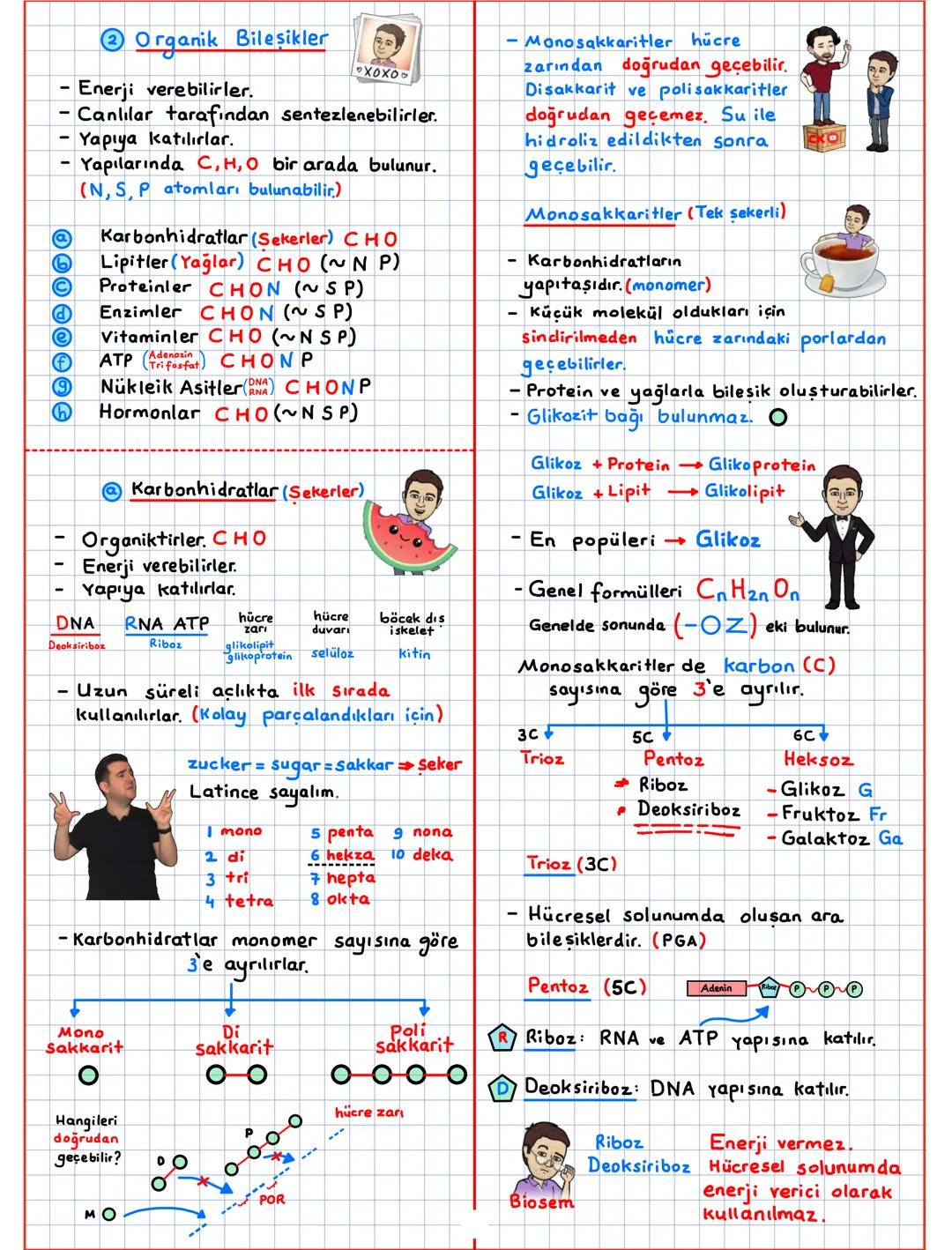 --- OCR Start ---
Canlıların Temel Bilesenleri (CTB)
inorganik + organik
inorganik
Su (H20)
Asit-Baz-Tuz
Mineraller
CTB
canlı
organik 2
Karb