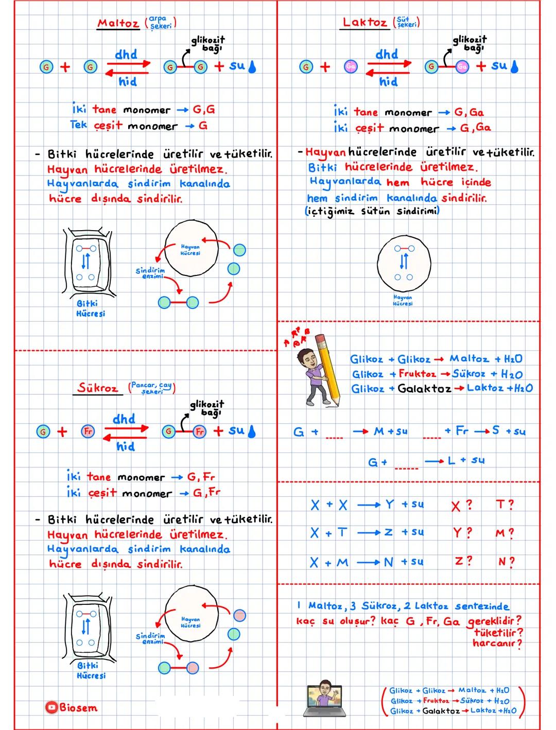 --- OCR Start ---
Canlıların Temel Bilesenleri (CTB)
inorganik + organik
inorganik
Su (H20)
Asit-Baz-Tuz
Mineraller
CTB
canlı
organik 2
Karb