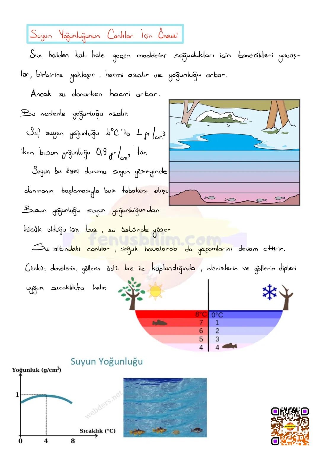 # YOĞUNLUK
KÜTLE
Madde miktarına kütle denir.
Kütlenin birimleri gram ve kilogramdır.
Kütle eşit kollu terazi ile ölçülür.
Kotle "m" se