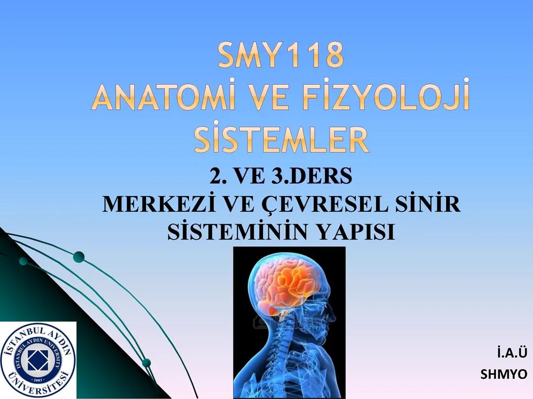 Anatomi ve fizyolojik sistemler 2. 3. Ders notu