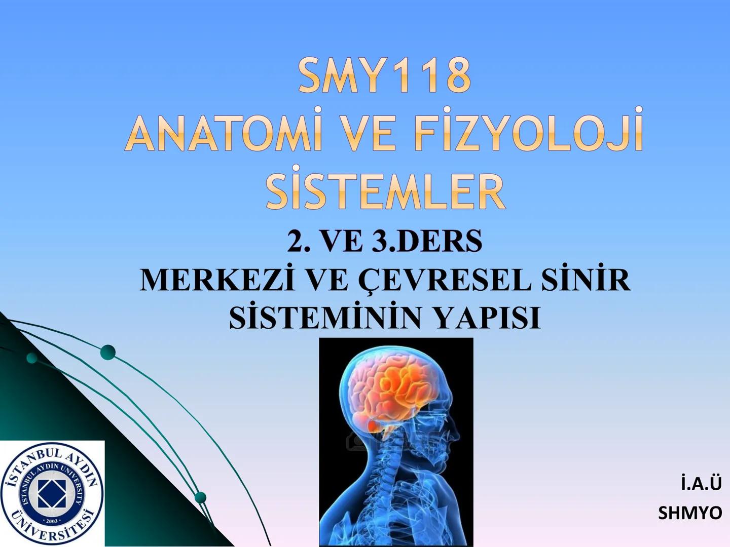 # SMY118
# ANATOMİ VE FİZYOLOJİ
# SİSTEMLER
## 2. VE 3.DERS
## MERKEZİ VE ÇEVRESEL SİNİR
## SİSTEMİNİN YAPISI
![Istanbul Aydin University