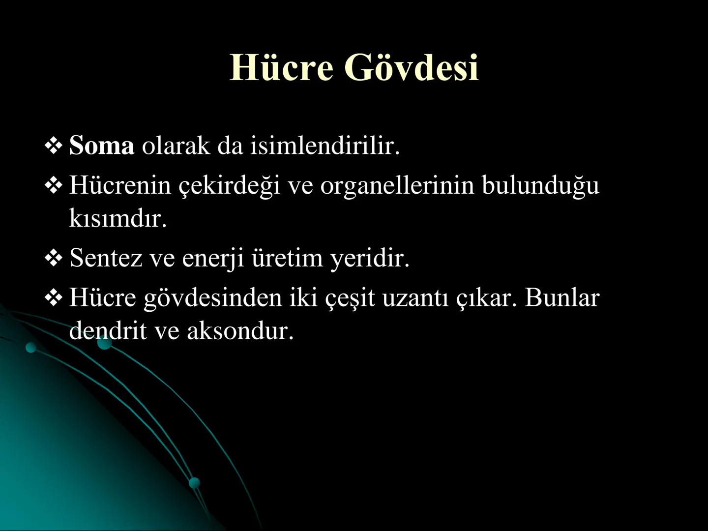 # SMY118
# ANATOMİ VE FİZYOLOJİ
# SİSTEMLER
## 2. VE 3.DERS
## MERKEZİ VE ÇEVRESEL SİNİR
## SİSTEMİNİN YAPISI
![Istanbul Aydin University
