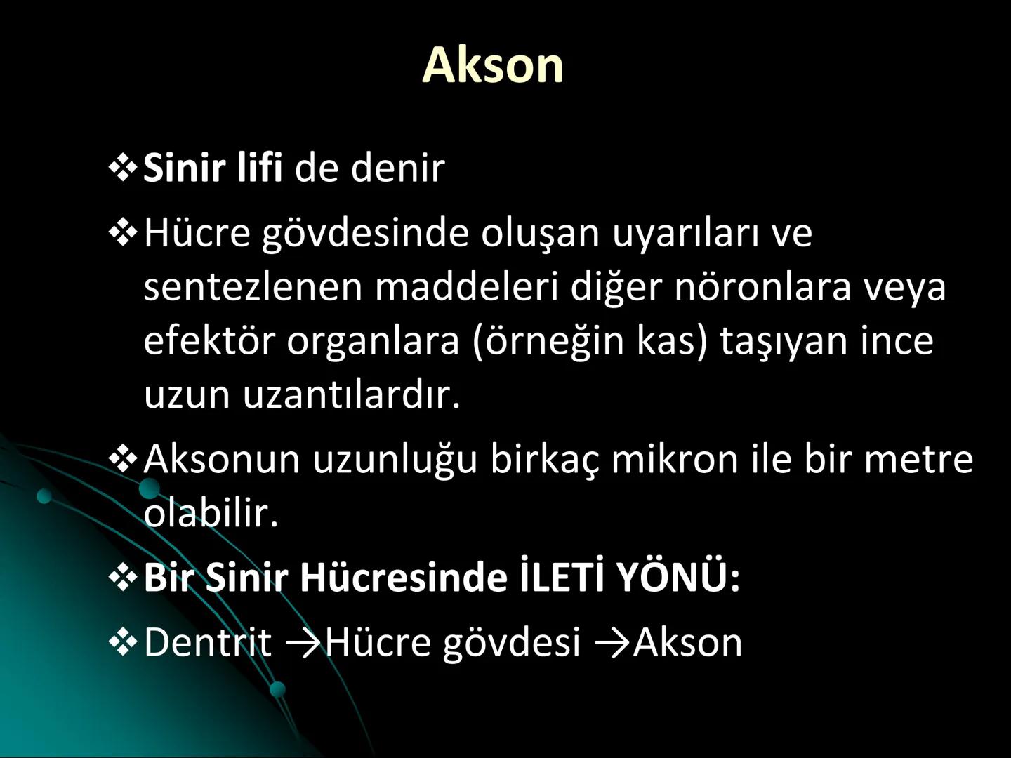 # SMY118
# ANATOMİ VE FİZYOLOJİ
# SİSTEMLER
## 2. VE 3.DERS
## MERKEZİ VE ÇEVRESEL SİNİR
## SİSTEMİNİN YAPISI
![Istanbul Aydin University
