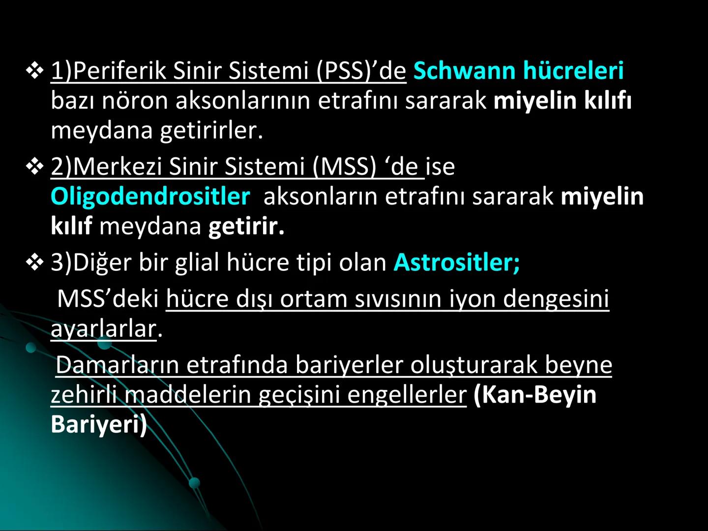 # SMY118
# ANATOMİ VE FİZYOLOJİ
# SİSTEMLER
## 2. VE 3.DERS
## MERKEZİ VE ÇEVRESEL SİNİR
## SİSTEMİNİN YAPISI
![Istanbul Aydin University