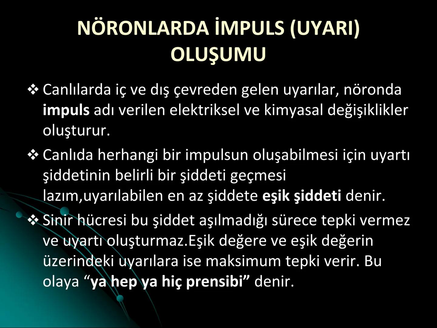 # SMY118
# ANATOMİ VE FİZYOLOJİ
# SİSTEMLER
## 2. VE 3.DERS
## MERKEZİ VE ÇEVRESEL SİNİR
## SİSTEMİNİN YAPISI
![Istanbul Aydin University