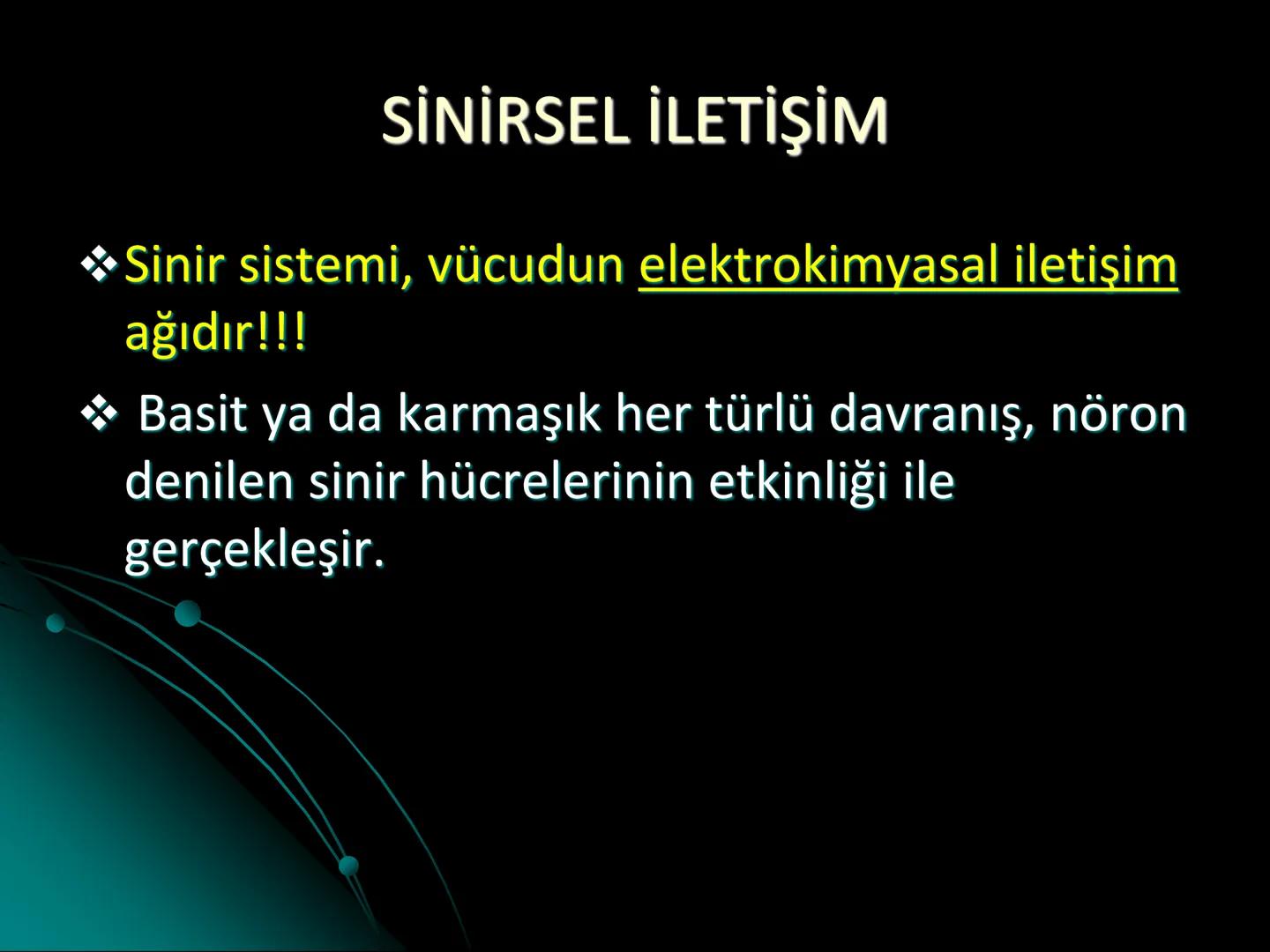 # SMY118
# ANATOMİ VE FİZYOLOJİ
# SİSTEMLER
## 2. VE 3.DERS
## MERKEZİ VE ÇEVRESEL SİNİR
## SİSTEMİNİN YAPISI
![Istanbul Aydin University