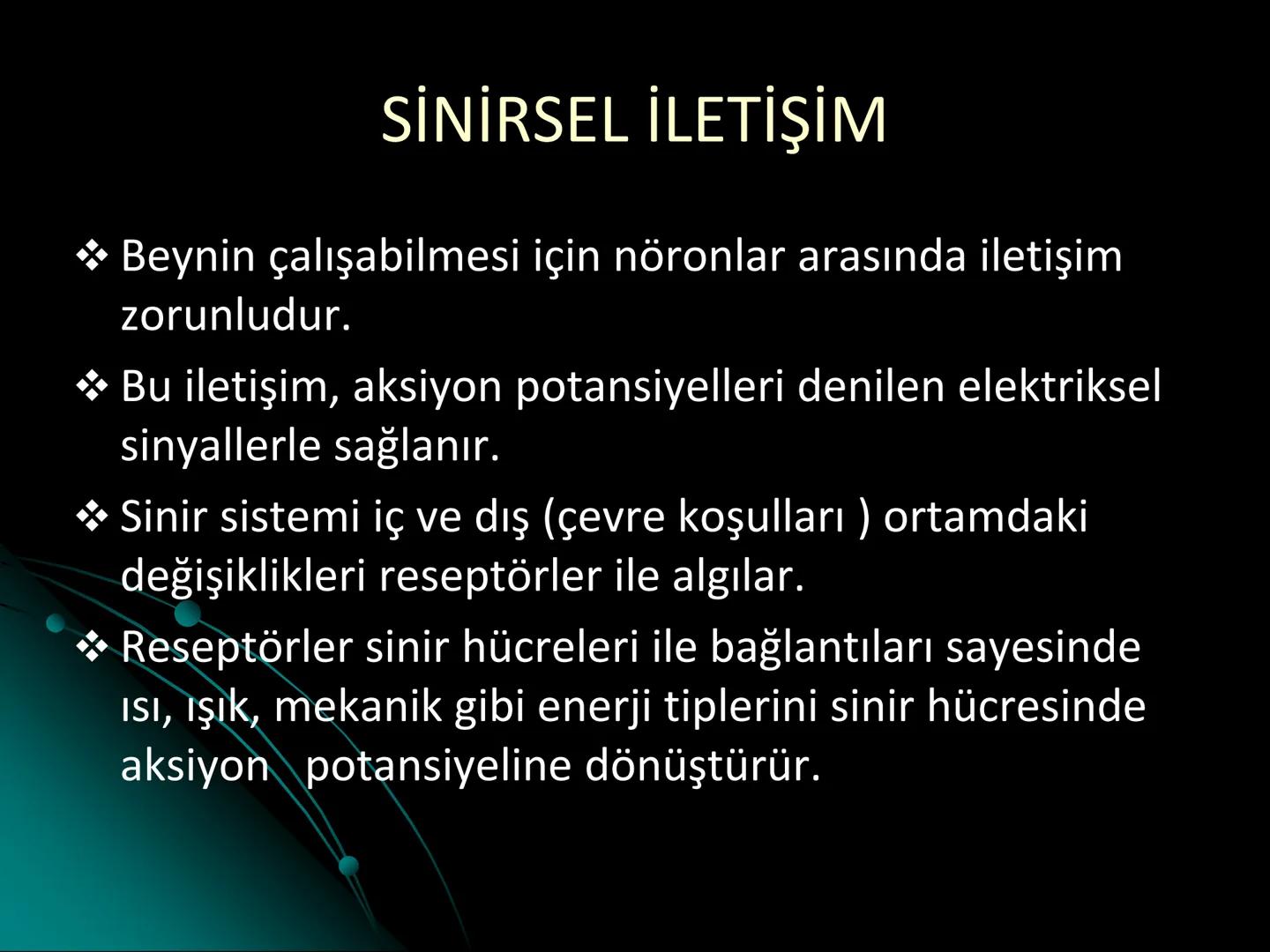 # SMY118
# ANATOMİ VE FİZYOLOJİ
# SİSTEMLER
## 2. VE 3.DERS
## MERKEZİ VE ÇEVRESEL SİNİR
## SİSTEMİNİN YAPISI
![Istanbul Aydin University
