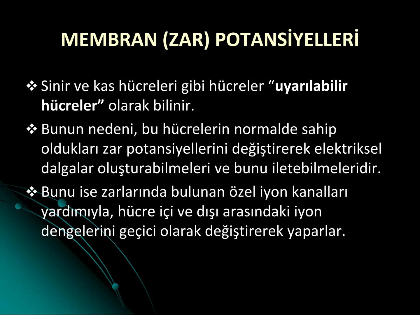 # SMY118
# ANATOMİ VE FİZYOLOJİ
# SİSTEMLER
## 2. VE 3.DERS
## MERKEZİ VE ÇEVRESEL SİNİR
## SİSTEMİNİN YAPISI
![Istanbul Aydin University