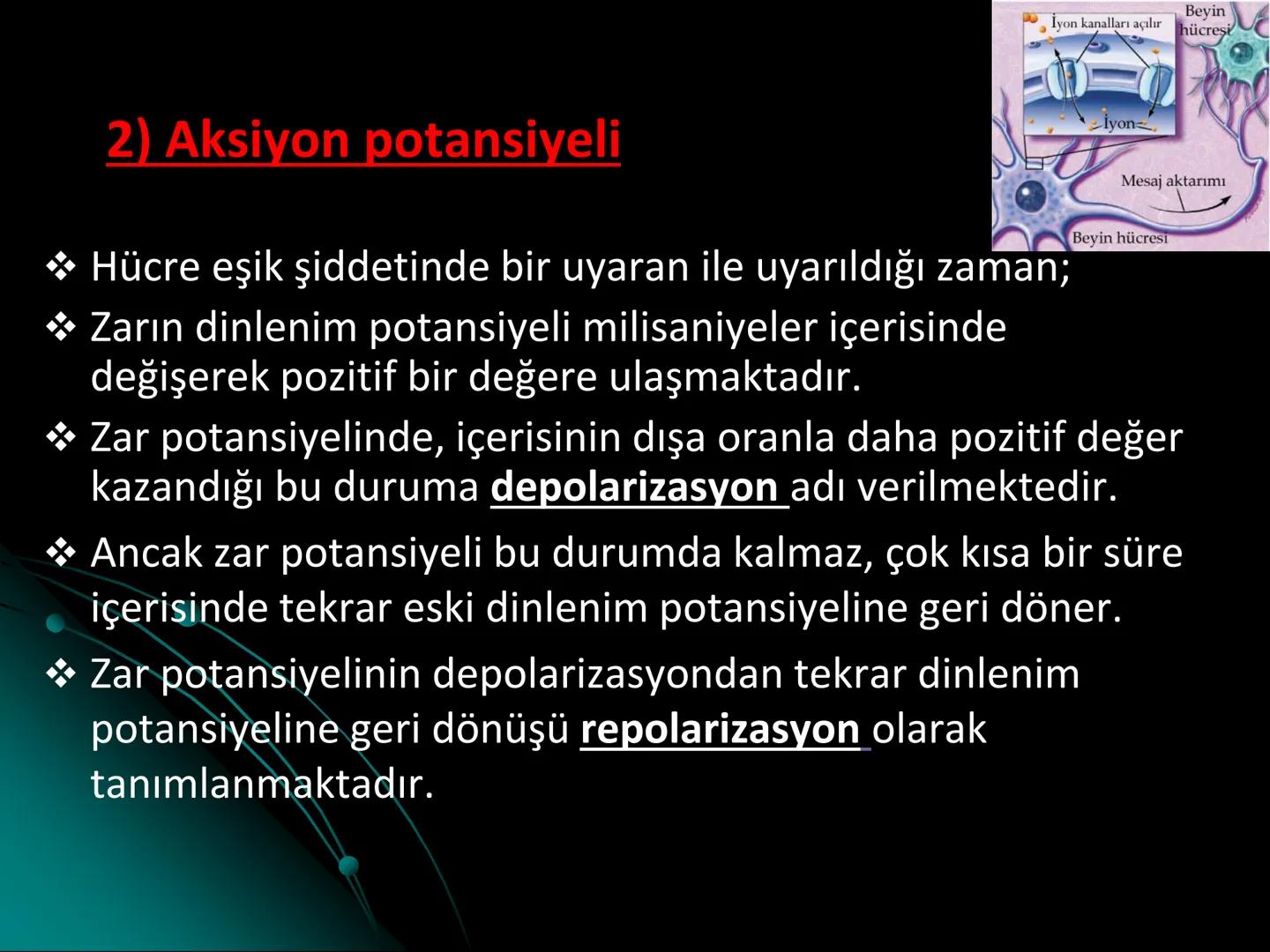 # SMY118
# ANATOMİ VE FİZYOLOJİ
# SİSTEMLER
## 2. VE 3.DERS
## MERKEZİ VE ÇEVRESEL SİNİR
## SİSTEMİNİN YAPISI
![Istanbul Aydin University