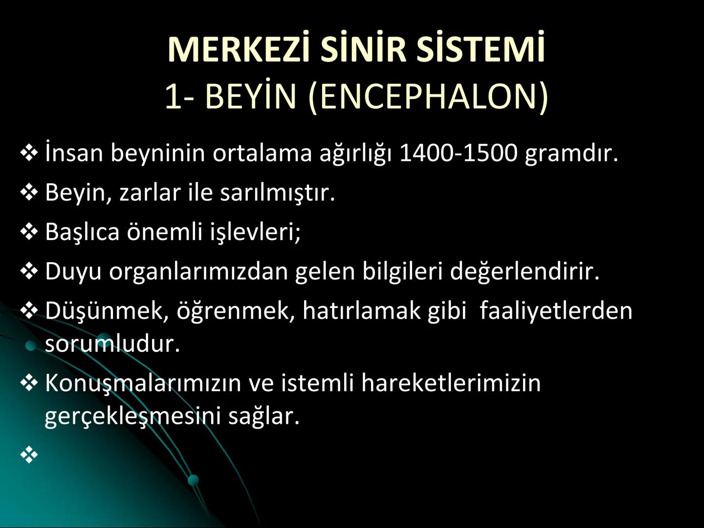 # SMY118
# ANATOMİ VE FİZYOLOJİ
# SİSTEMLER
## 2. VE 3.DERS
## MERKEZİ VE ÇEVRESEL SİNİR
## SİSTEMİNİN YAPISI
![Istanbul Aydin University