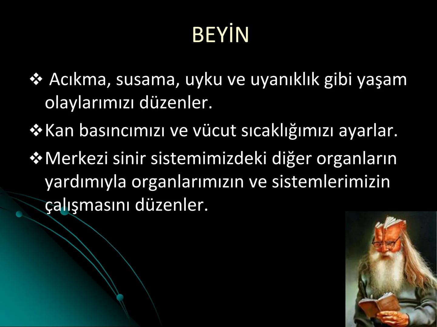 # SMY118
# ANATOMİ VE FİZYOLOJİ
# SİSTEMLER
## 2. VE 3.DERS
## MERKEZİ VE ÇEVRESEL SİNİR
## SİSTEMİNİN YAPISI
![Istanbul Aydin University