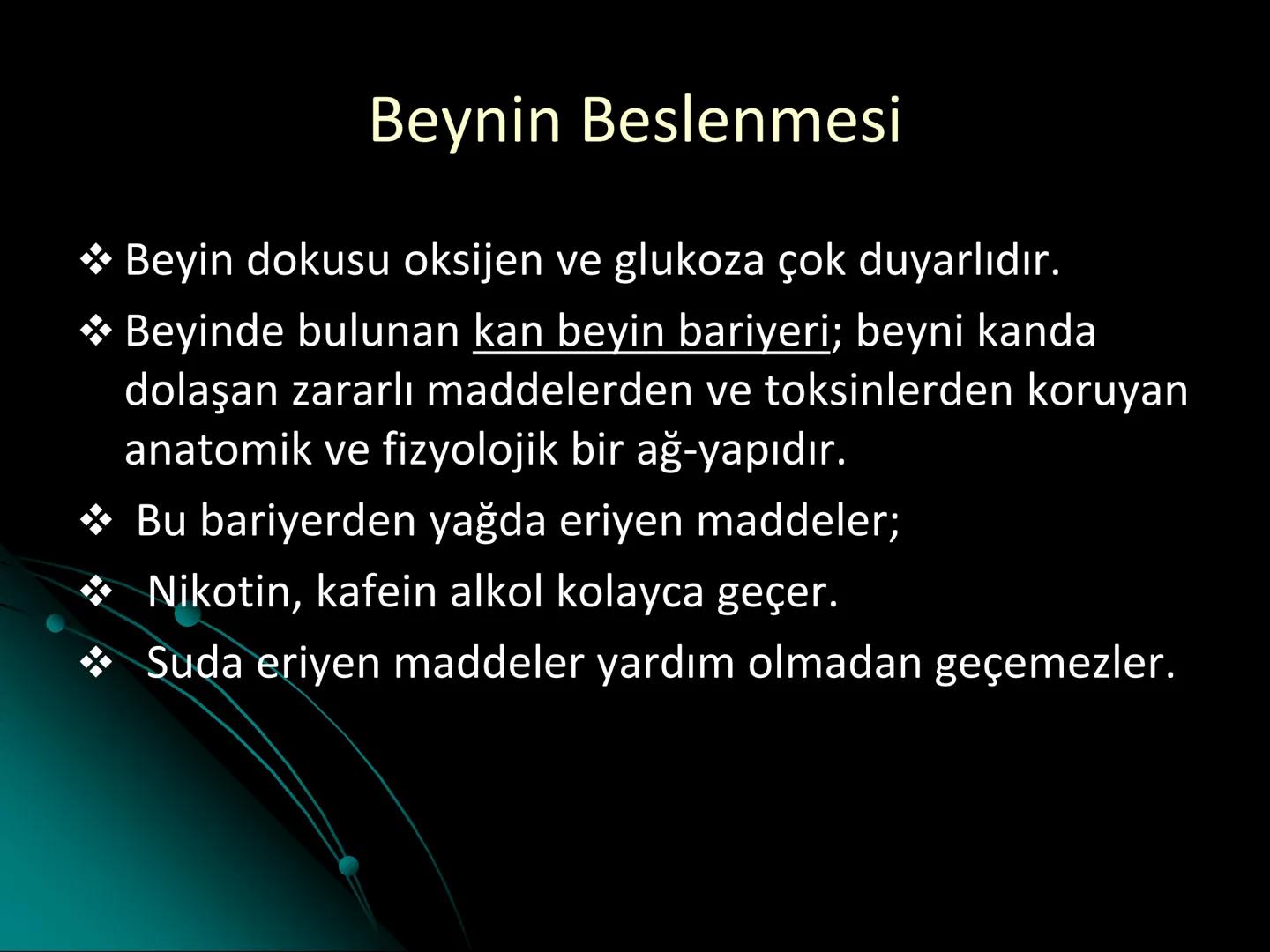 # SMY118
# ANATOMİ VE FİZYOLOJİ
# SİSTEMLER
## 2. VE 3.DERS
## MERKEZİ VE ÇEVRESEL SİNİR
## SİSTEMİNİN YAPISI
![Istanbul Aydin University