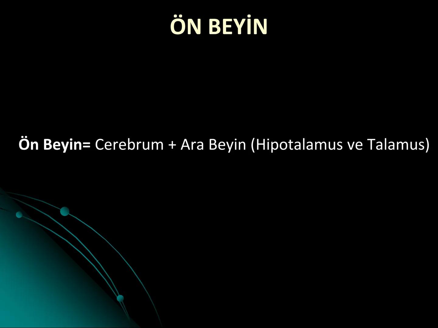 # SMY118
# ANATOMİ VE FİZYOLOJİ
# SİSTEMLER
## 2. VE 3.DERS
## MERKEZİ VE ÇEVRESEL SİNİR
## SİSTEMİNİN YAPISI
![Istanbul Aydin University