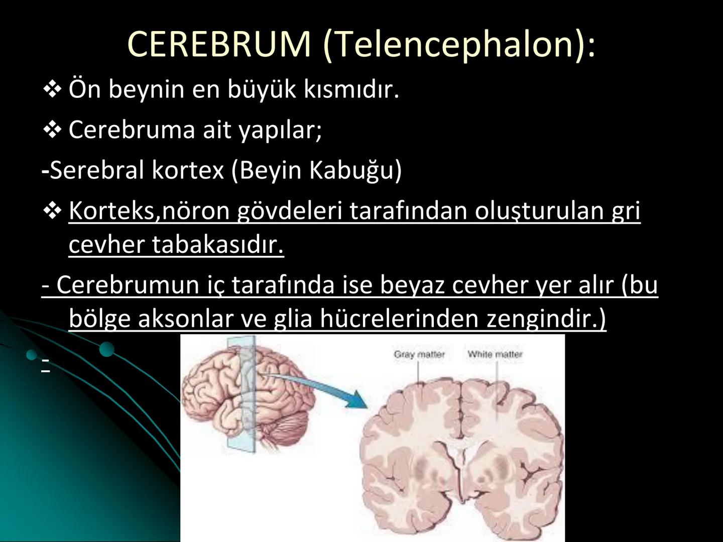 # SMY118
# ANATOMİ VE FİZYOLOJİ
# SİSTEMLER
## 2. VE 3.DERS
## MERKEZİ VE ÇEVRESEL SİNİR
## SİSTEMİNİN YAPISI
![Istanbul Aydin University