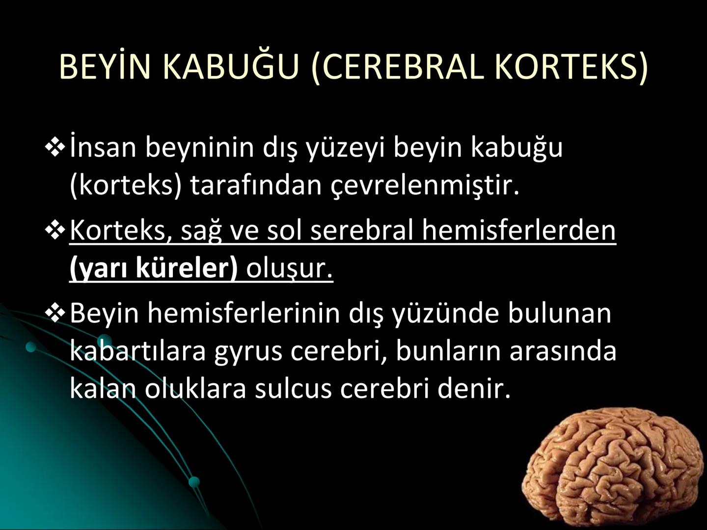 # SMY118
# ANATOMİ VE FİZYOLOJİ
# SİSTEMLER
## 2. VE 3.DERS
## MERKEZİ VE ÇEVRESEL SİNİR
## SİSTEMİNİN YAPISI
![Istanbul Aydin University