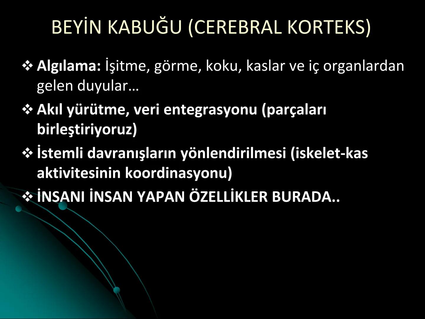 # SMY118
# ANATOMİ VE FİZYOLOJİ
# SİSTEMLER
## 2. VE 3.DERS
## MERKEZİ VE ÇEVRESEL SİNİR
## SİSTEMİNİN YAPISI
![Istanbul Aydin University