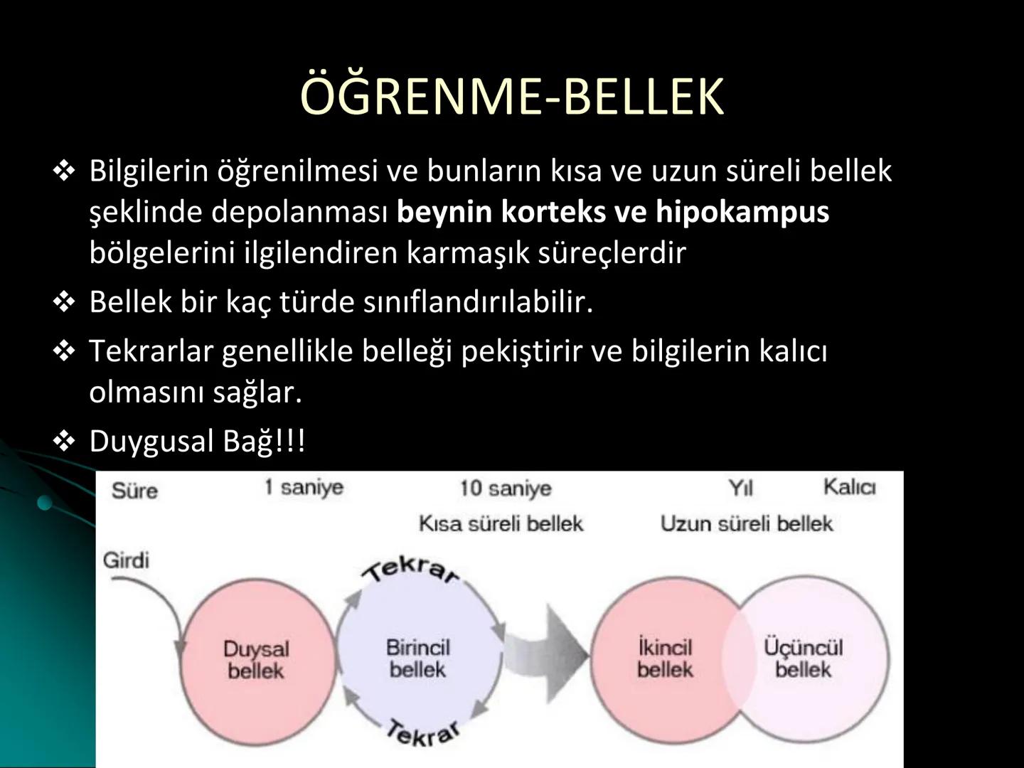 # SMY118
# ANATOMİ VE FİZYOLOJİ
# SİSTEMLER
## 2. VE 3.DERS
## MERKEZİ VE ÇEVRESEL SİNİR
## SİSTEMİNİN YAPISI
![Istanbul Aydin University