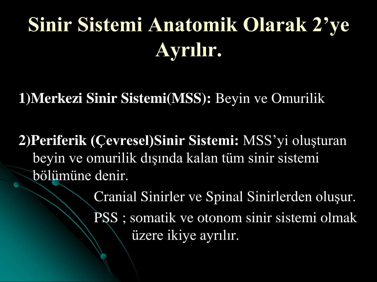 # SMY118
# ANATOMİ VE FİZYOLOJİ
# SİSTEMLER
## 2. VE 3.DERS
## MERKEZİ VE ÇEVRESEL SİNİR
## SİSTEMİNİN YAPISI
![Istanbul Aydin University