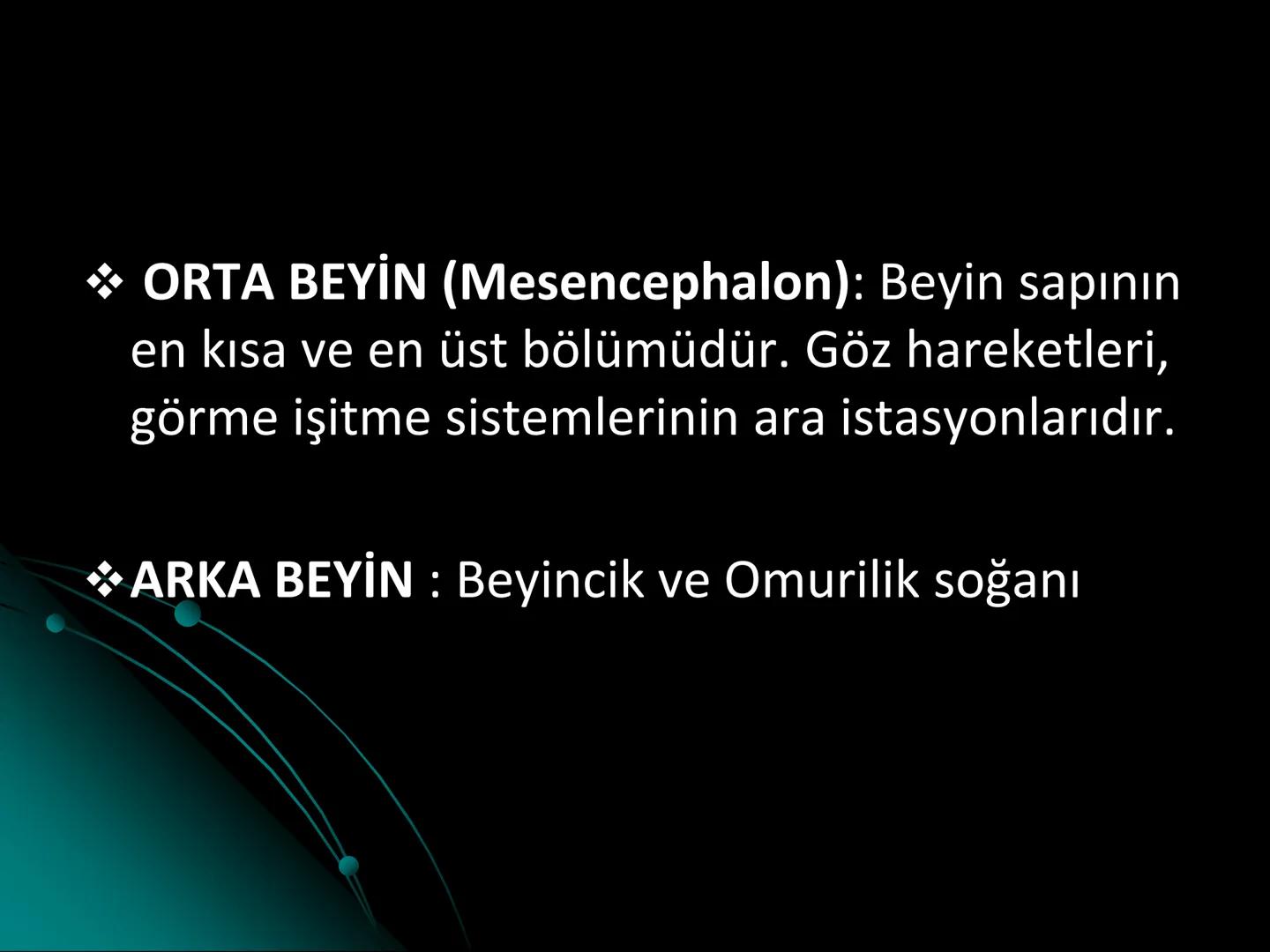 # SMY118
# ANATOMİ VE FİZYOLOJİ
# SİSTEMLER
## 2. VE 3.DERS
## MERKEZİ VE ÇEVRESEL SİNİR
## SİSTEMİNİN YAPISI
![Istanbul Aydin University