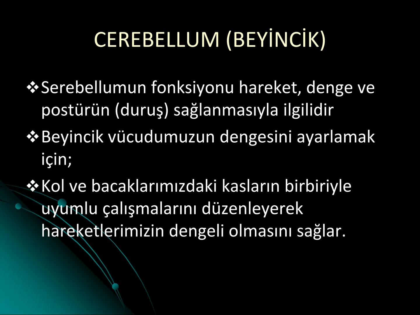 # SMY118
# ANATOMİ VE FİZYOLOJİ
# SİSTEMLER
## 2. VE 3.DERS
## MERKEZİ VE ÇEVRESEL SİNİR
## SİSTEMİNİN YAPISI
![Istanbul Aydin University