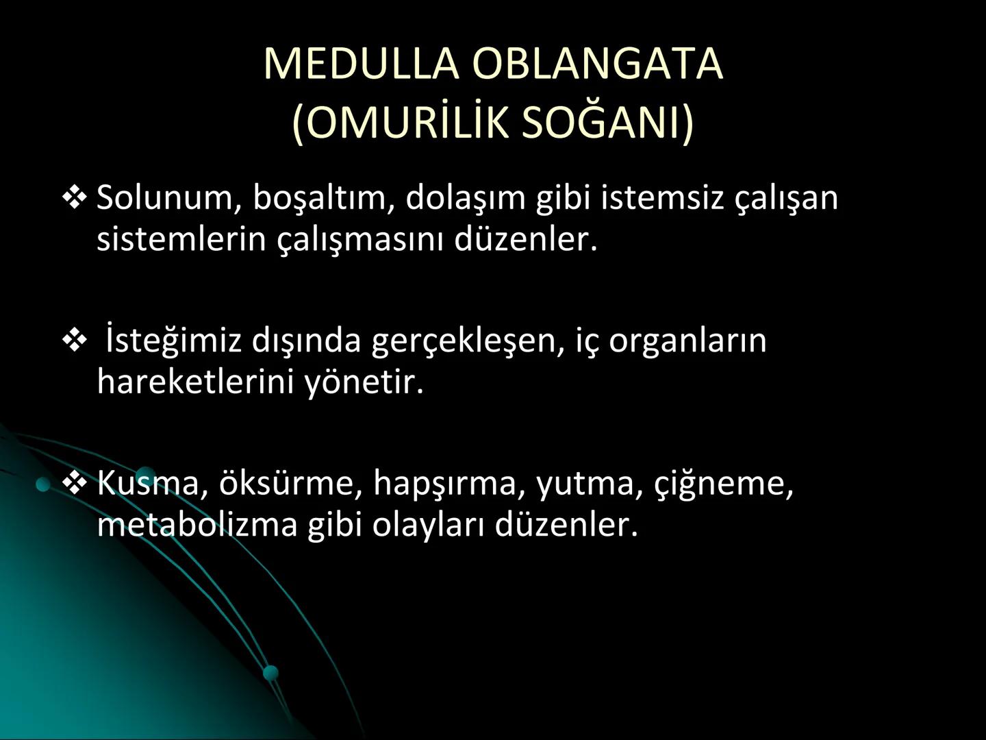 # SMY118
# ANATOMİ VE FİZYOLOJİ
# SİSTEMLER
## 2. VE 3.DERS
## MERKEZİ VE ÇEVRESEL SİNİR
## SİSTEMİNİN YAPISI
![Istanbul Aydin University