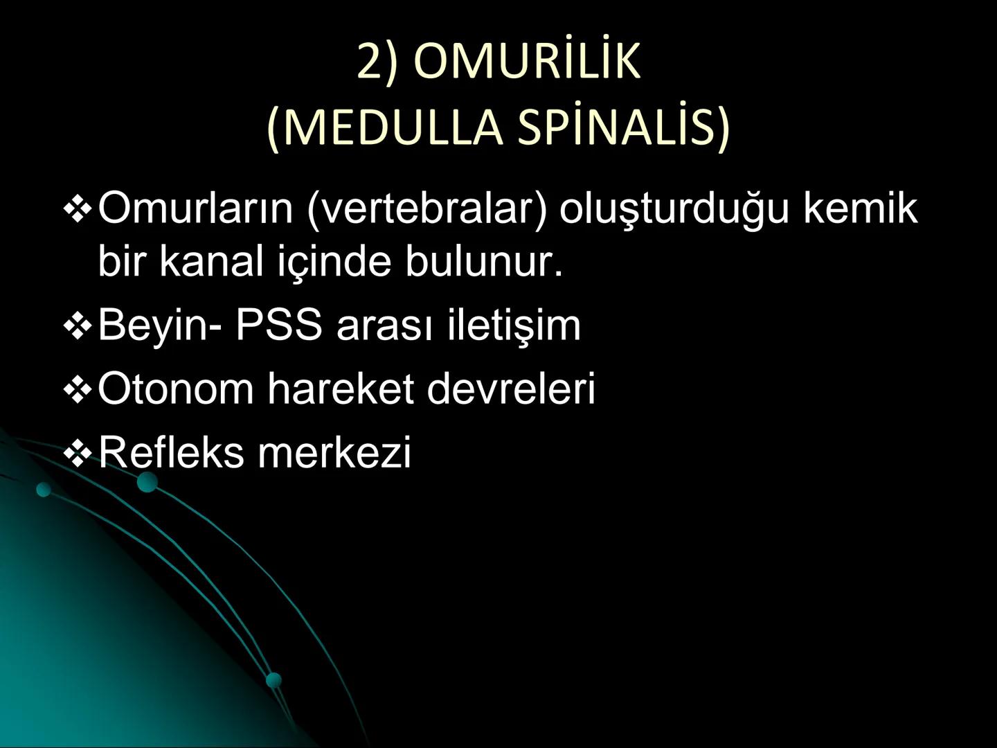 # SMY118
# ANATOMİ VE FİZYOLOJİ
# SİSTEMLER
## 2. VE 3.DERS
## MERKEZİ VE ÇEVRESEL SİNİR
## SİSTEMİNİN YAPISI
![Istanbul Aydin University