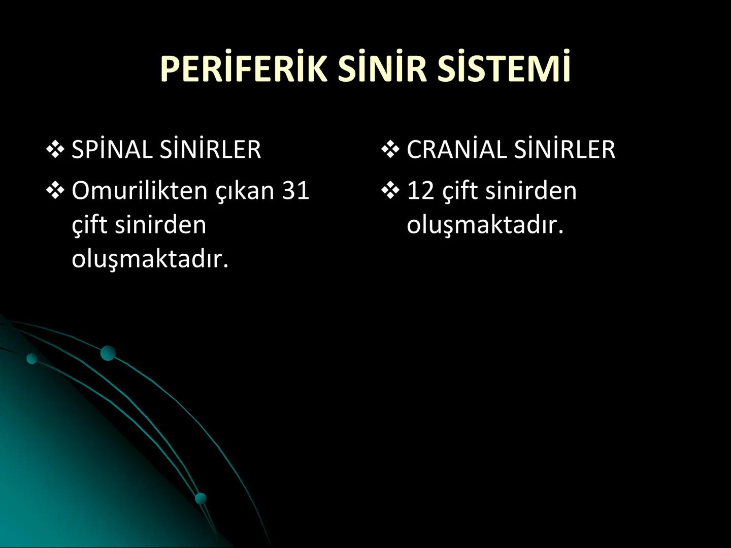 # SMY118
# ANATOMİ VE FİZYOLOJİ
# SİSTEMLER
## 2. VE 3.DERS
## MERKEZİ VE ÇEVRESEL SİNİR
## SİSTEMİNİN YAPISI
![Istanbul Aydin University