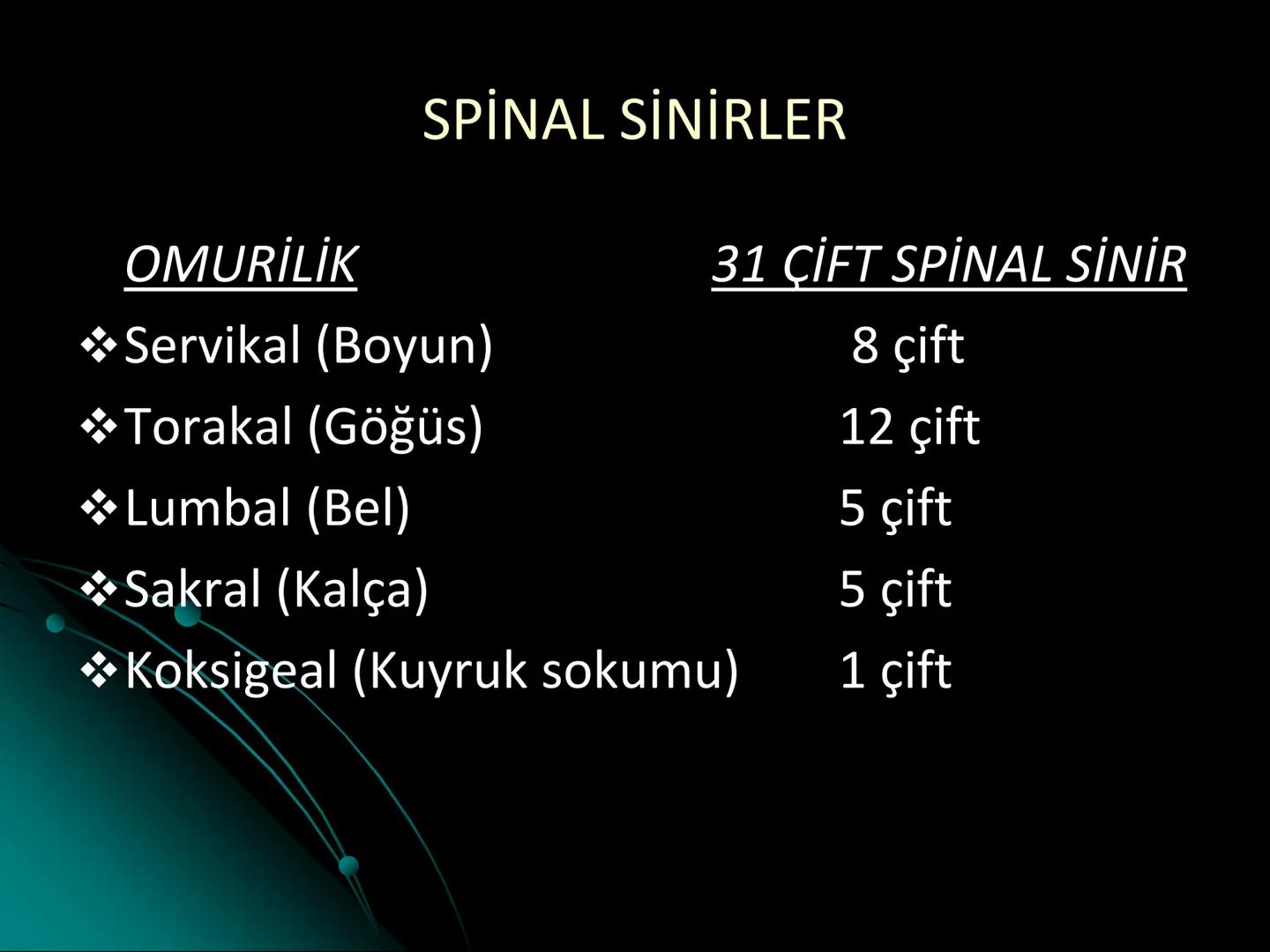 # SMY118
# ANATOMİ VE FİZYOLOJİ
# SİSTEMLER
## 2. VE 3.DERS
## MERKEZİ VE ÇEVRESEL SİNİR
## SİSTEMİNİN YAPISI
![Istanbul Aydin University