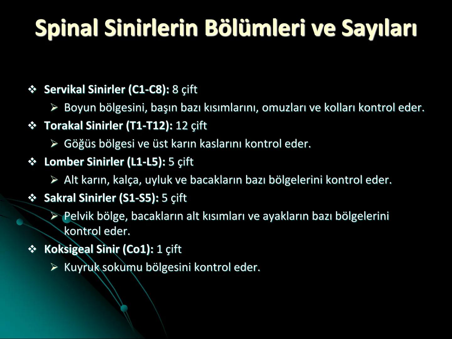 # SMY118
# ANATOMİ VE FİZYOLOJİ
# SİSTEMLER
## 2. VE 3.DERS
## MERKEZİ VE ÇEVRESEL SİNİR
## SİSTEMİNİN YAPISI
![Istanbul Aydin University