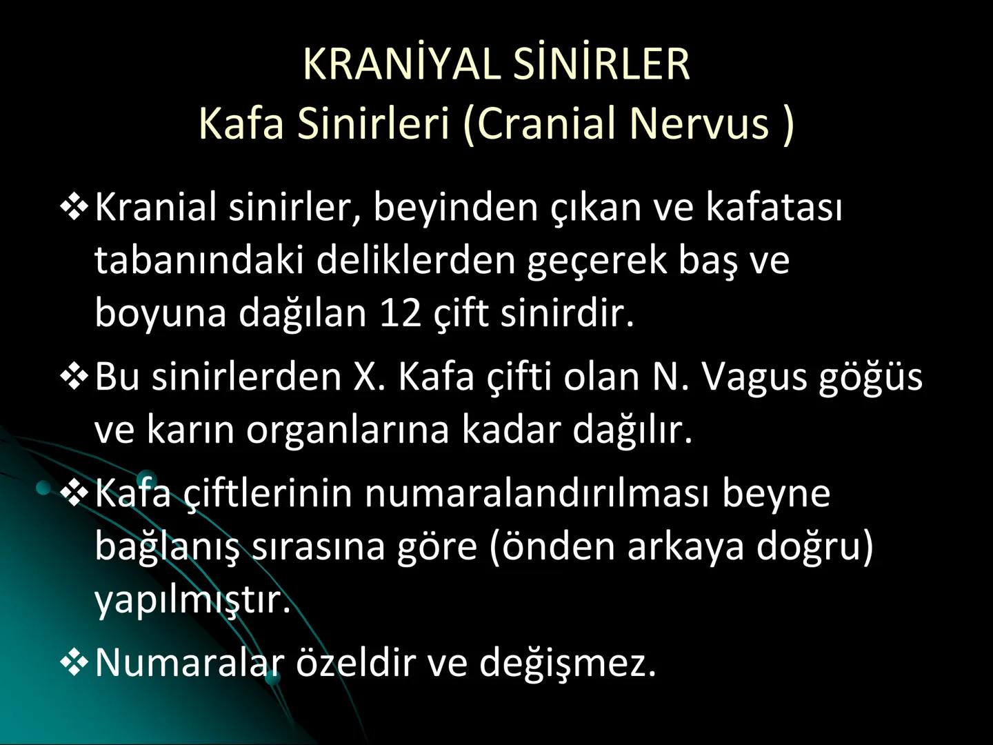 # SMY118
# ANATOMİ VE FİZYOLOJİ
# SİSTEMLER
## 2. VE 3.DERS
## MERKEZİ VE ÇEVRESEL SİNİR
## SİSTEMİNİN YAPISI
![Istanbul Aydin University