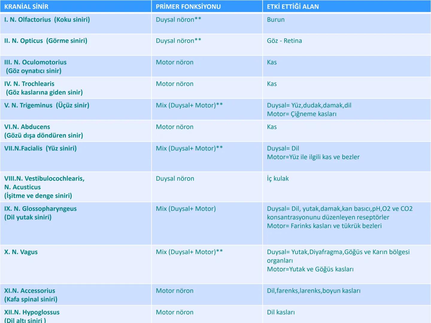 # SMY118
# ANATOMİ VE FİZYOLOJİ
# SİSTEMLER
## 2. VE 3.DERS
## MERKEZİ VE ÇEVRESEL SİNİR
## SİSTEMİNİN YAPISI
![Istanbul Aydin University