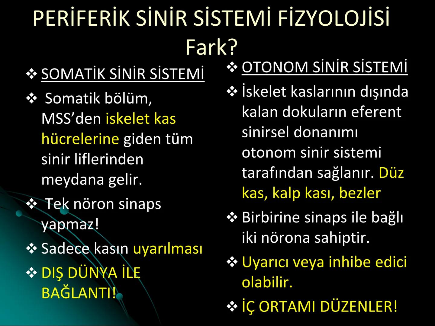 # SMY118
# ANATOMİ VE FİZYOLOJİ
# SİSTEMLER
## 2. VE 3.DERS
## MERKEZİ VE ÇEVRESEL SİNİR
## SİSTEMİNİN YAPISI
![Istanbul Aydin University