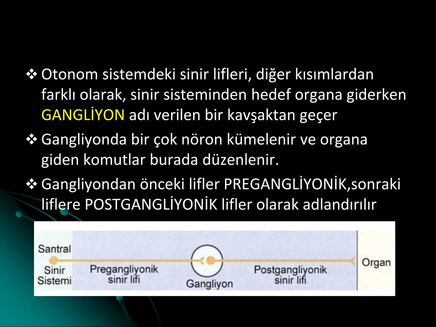 # SMY118
# ANATOMİ VE FİZYOLOJİ
# SİSTEMLER
## 2. VE 3.DERS
## MERKEZİ VE ÇEVRESEL SİNİR
## SİSTEMİNİN YAPISI
![Istanbul Aydin University
