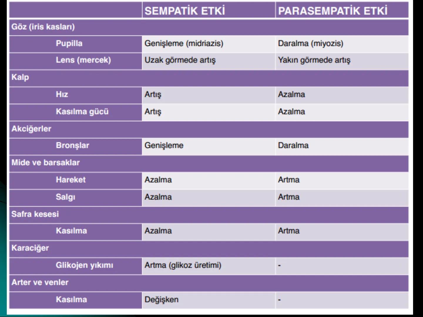 # SMY118
# ANATOMİ VE FİZYOLOJİ
# SİSTEMLER
## 2. VE 3.DERS
## MERKEZİ VE ÇEVRESEL SİNİR
## SİSTEMİNİN YAPISI
![Istanbul Aydin University