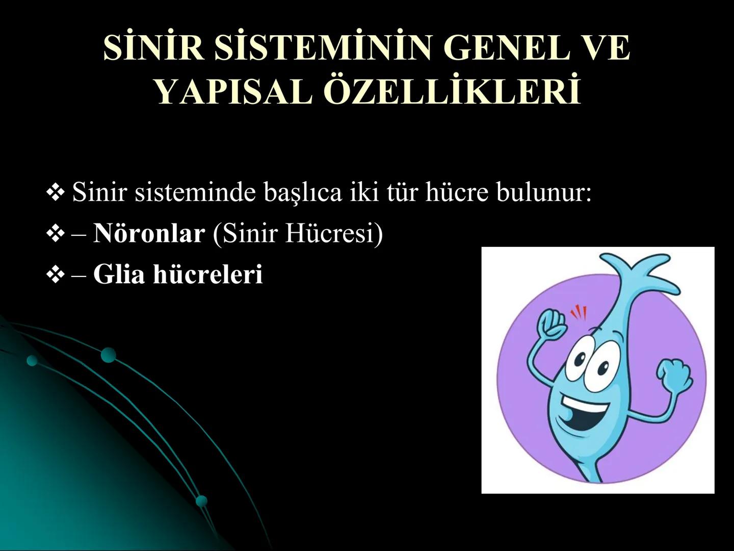 # SMY118
# ANATOMİ VE FİZYOLOJİ
# SİSTEMLER
## 2. VE 3.DERS
## MERKEZİ VE ÇEVRESEL SİNİR
## SİSTEMİNİN YAPISI
![Istanbul Aydin University