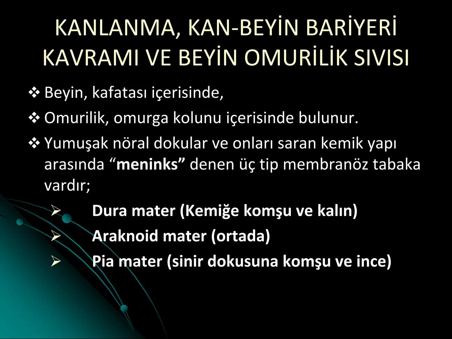 # SMY118
# ANATOMİ VE FİZYOLOJİ
# SİSTEMLER
## 2. VE 3.DERS
## MERKEZİ VE ÇEVRESEL SİNİR
## SİSTEMİNİN YAPISI
![Istanbul Aydin University