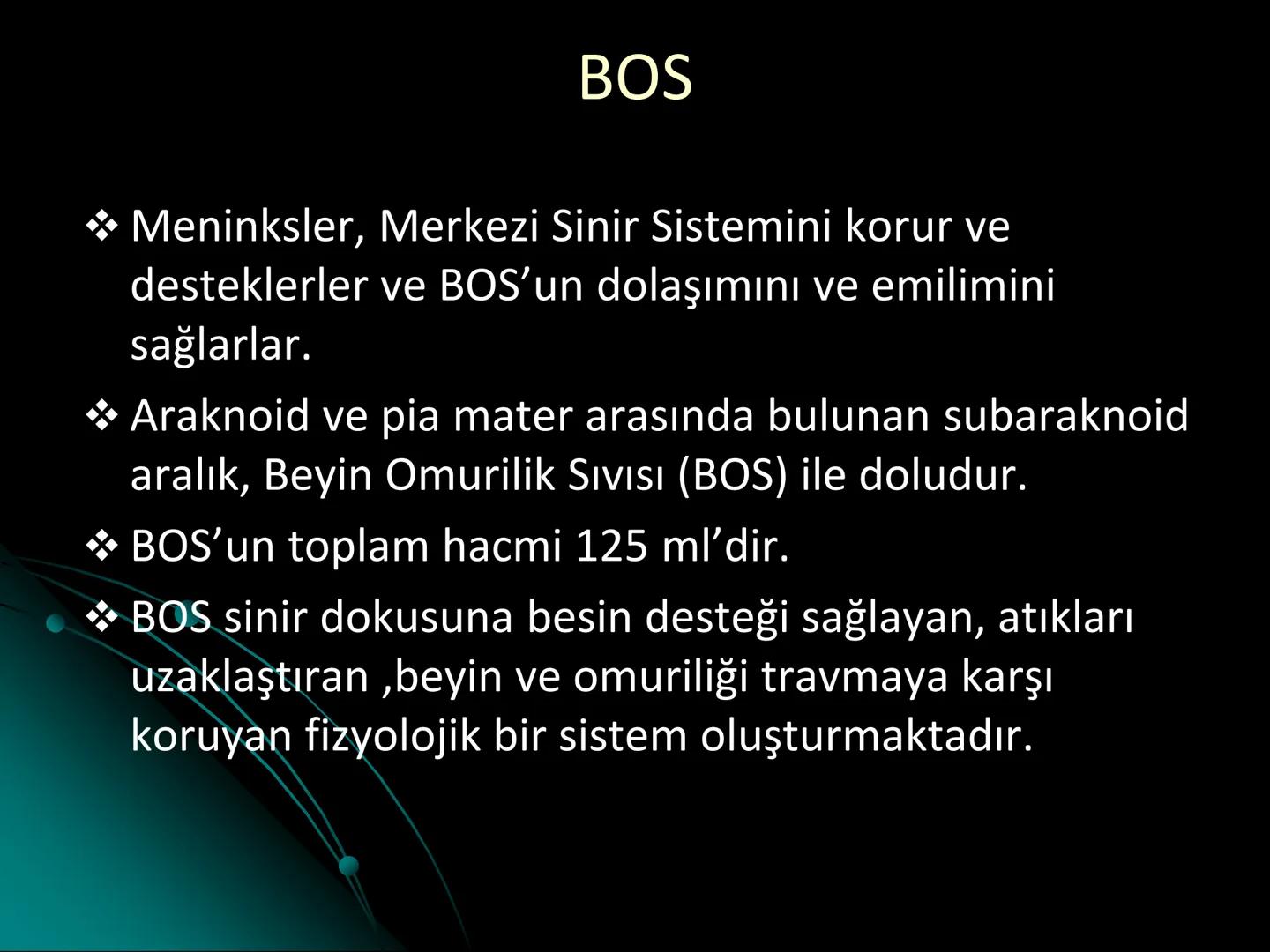 # SMY118
# ANATOMİ VE FİZYOLOJİ
# SİSTEMLER
## 2. VE 3.DERS
## MERKEZİ VE ÇEVRESEL SİNİR
## SİSTEMİNİN YAPISI
![Istanbul Aydin University